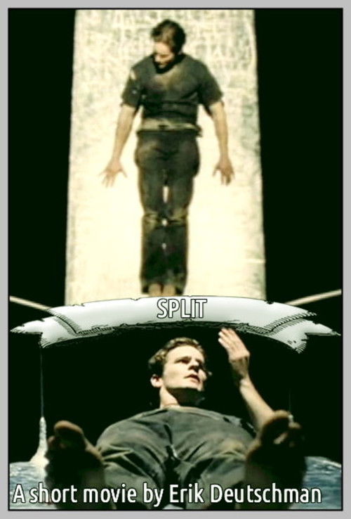 Split Poster