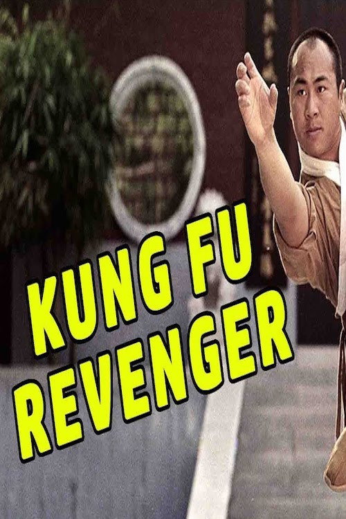 Kung Fu Revenger Poster