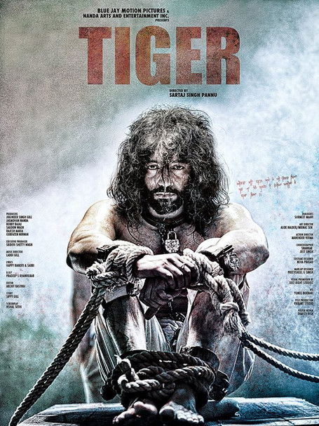 Tiger Poster