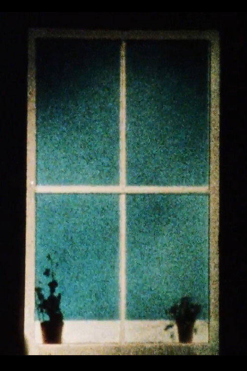Windowframe Poster