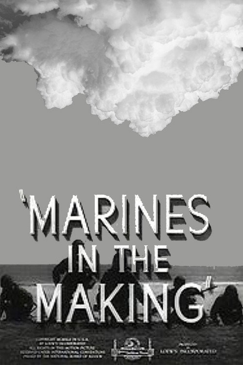 Marines in the Making Poster