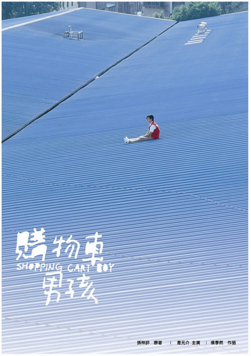 Shopping Cart Boy Poster