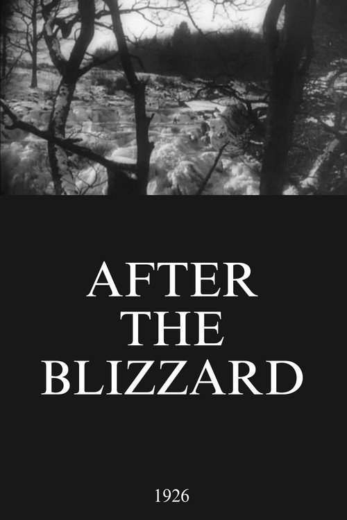 After the Blizzard Poster