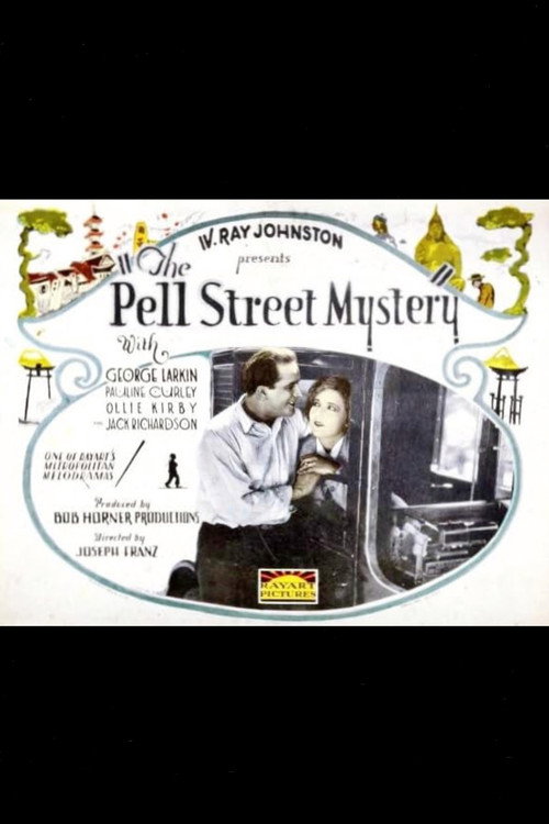 The Pell Street Mystery Poster