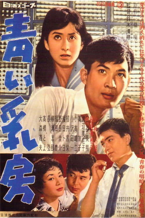 Young Breasts Poster