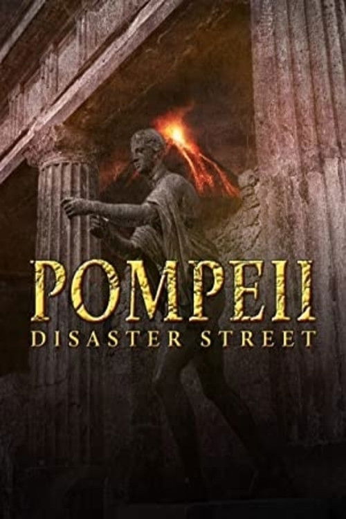 Pompeii: Disaster Street Poster