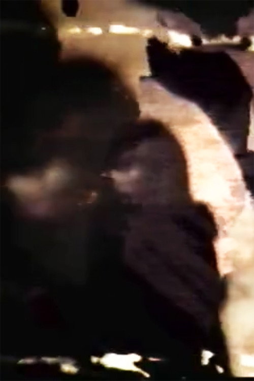 Cheree Cheree Poster