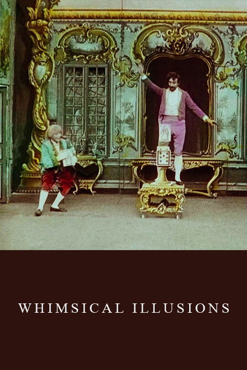 Whimsical Illusions Poster