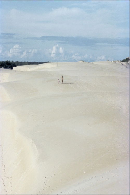 Itaúnas: Ecological Disaster Poster