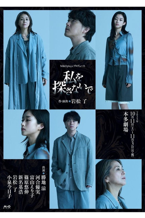 Don’t Look for Me Poster