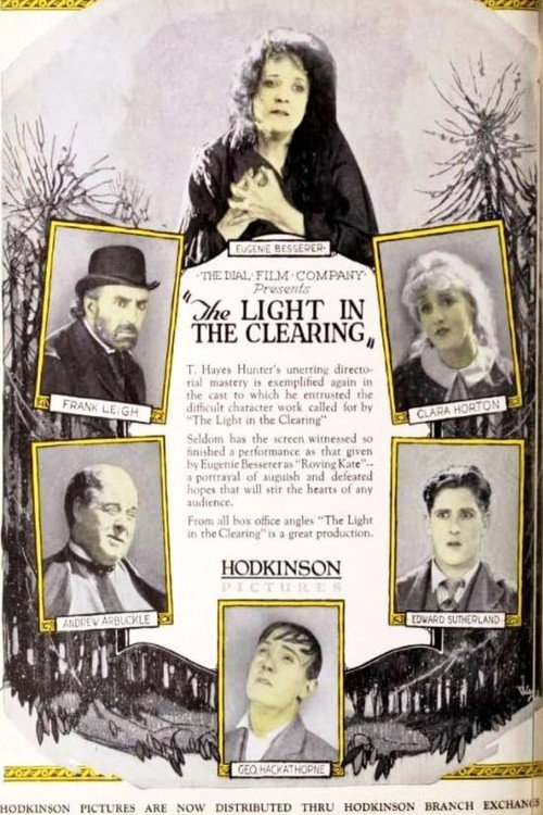 The Light in the Clearing Poster