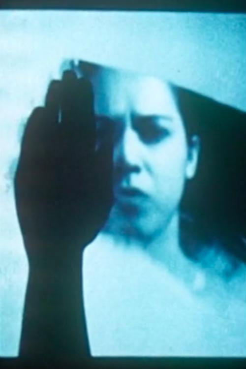 Video Ergo Sum Poster