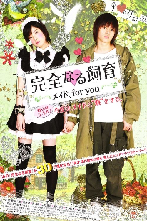 Perfect Education: A Maid for You Poster