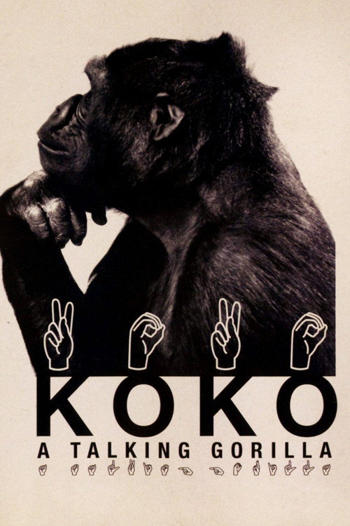Koko: A Talking Gorilla Poster