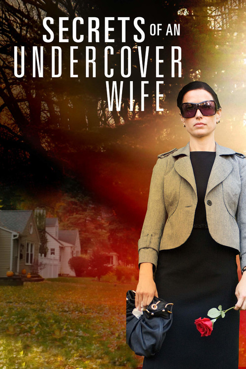 Secrets of an Undercover Wife Poster