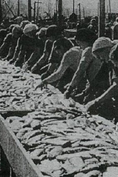 The Icelandic Herring Industry Poster