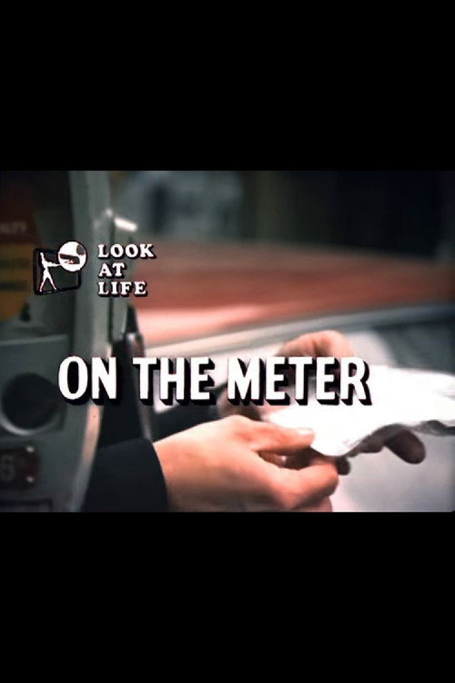 Look at Life: On the Meter Poster