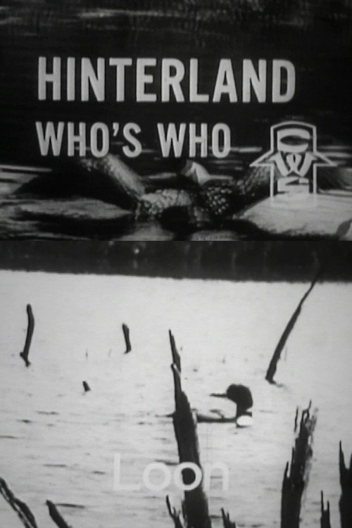 Hinterland Who's Who: Loon Poster