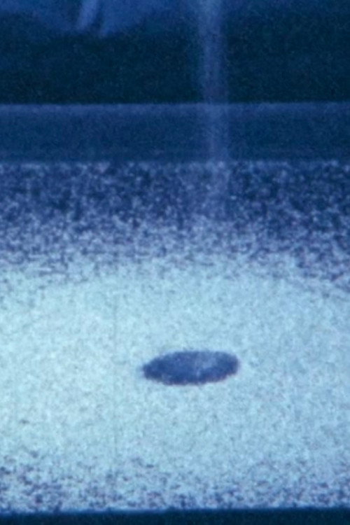 Ecosystem 23 ~ Time Poster