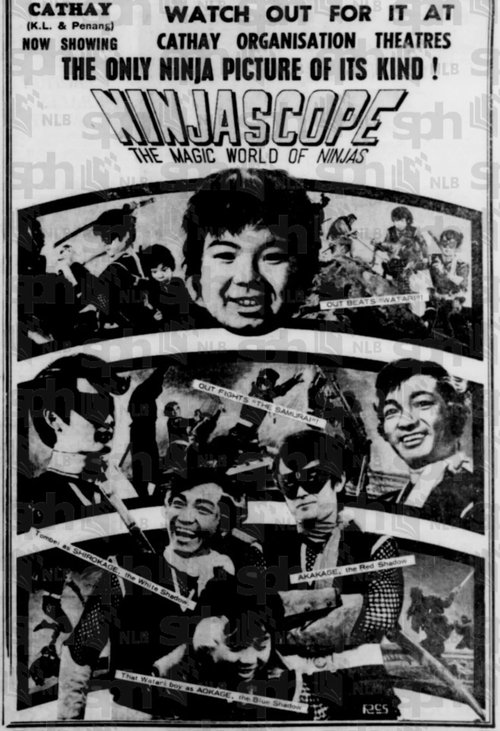 Ninjascope: The Magic World of Ninjas Poster