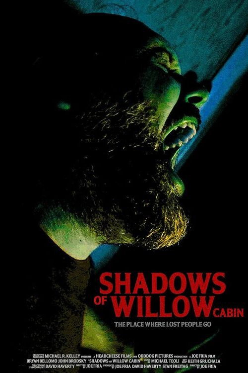 Shadows of Willow Cabin Poster