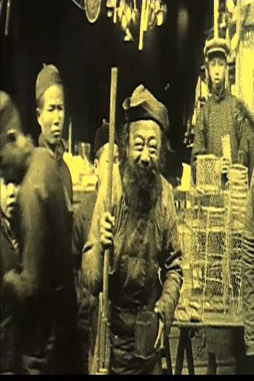 Bits of China Poster