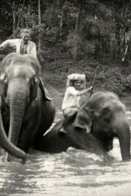 Views and People in Ceylon Poster