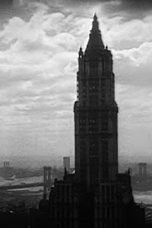 Bird's Eye View of New York Poster