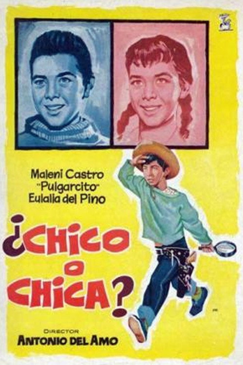 ¿Chico o chica? Poster