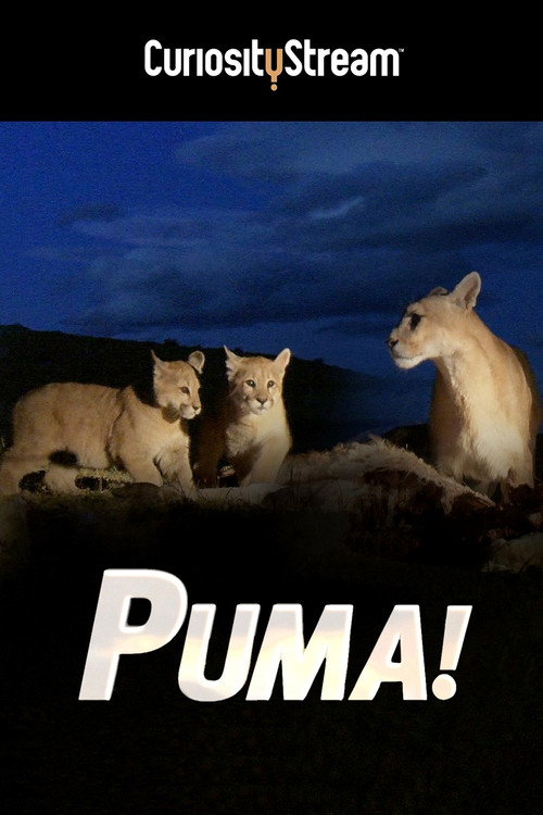 Puma! Poster