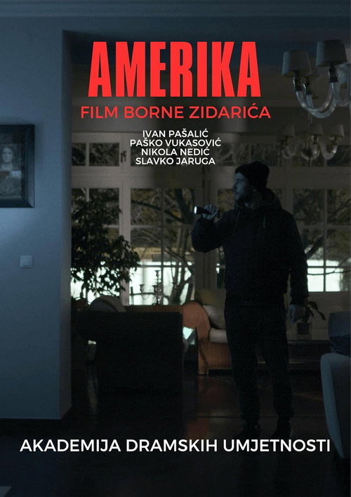 America Poster