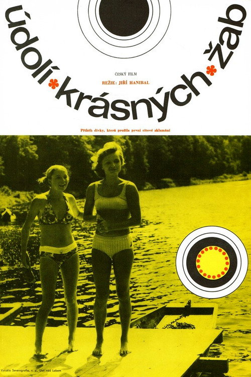 A Valley of Beautiful Frogs Poster