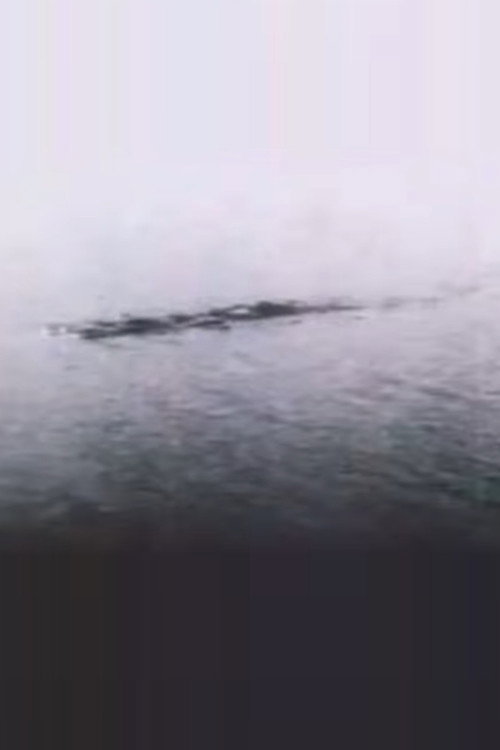 The Loch Ness Monster: Proof at Last! Poster