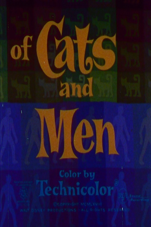 Of Cats and Men Poster