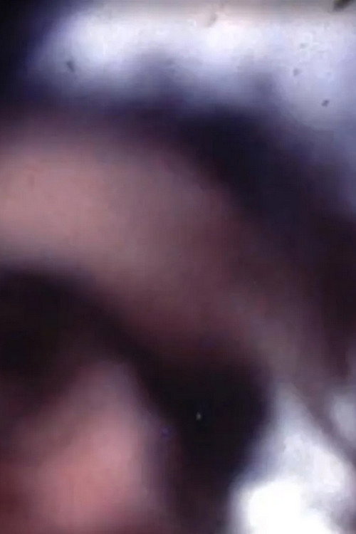 Camera Annihilator Poster