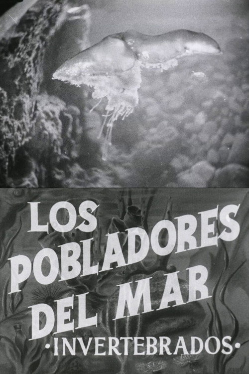 Pobladores del mar: Los invertebrados Poster