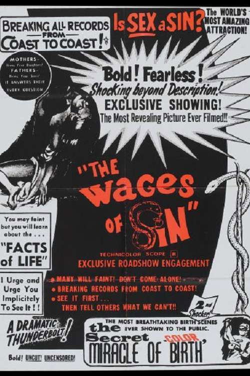 The Secret Miracle of Birth Poster