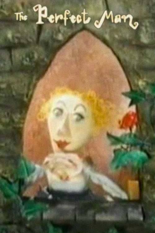 The Perfect Man Poster