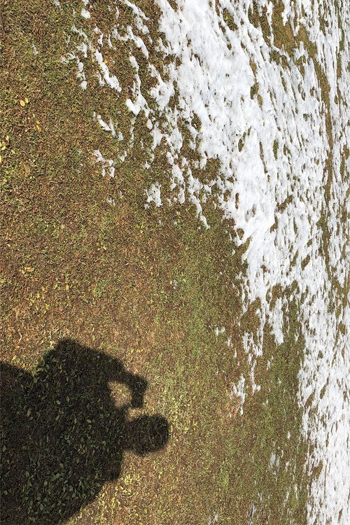 Diary without Words 2018 Poster