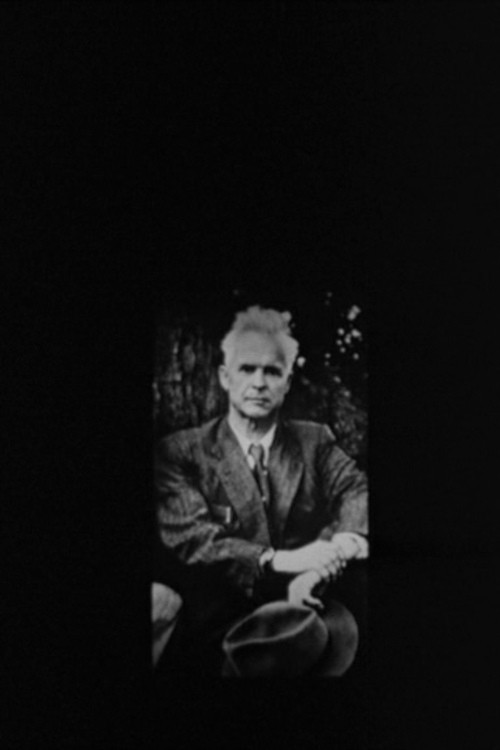 Oleksandr Dovzhenko. The Contemplations After Life Poster