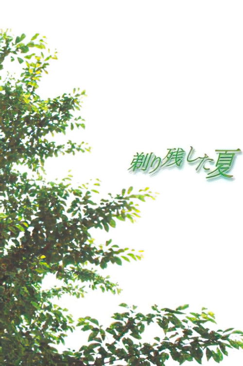 Summer of Leftover Stubble Poster