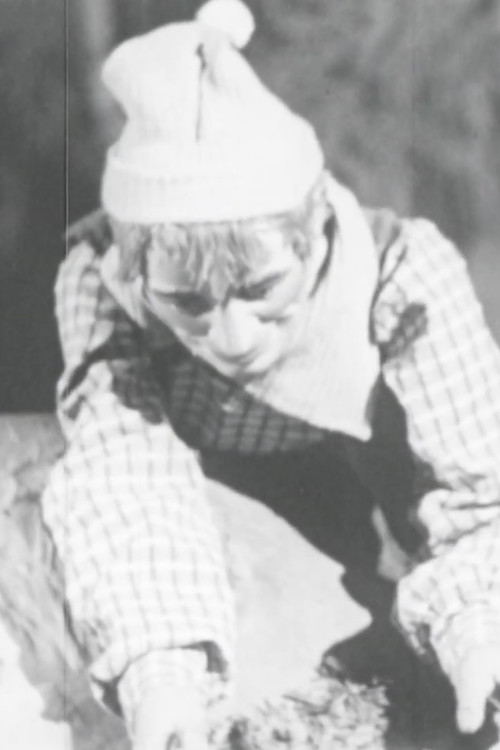 The Honest Woodsman Poster