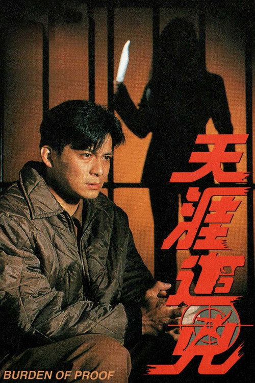天涯追凶 Poster