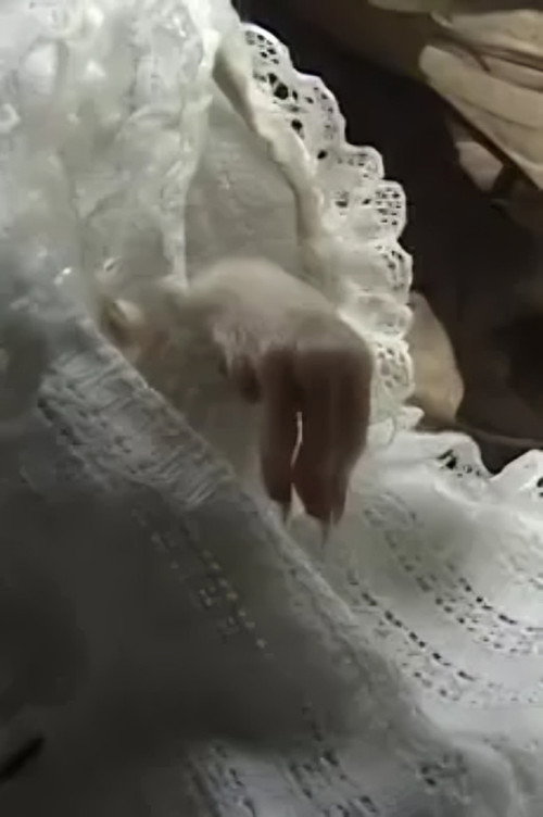 All About a Girl Poster