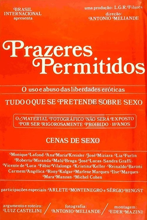 Prazeres Permitidos Poster