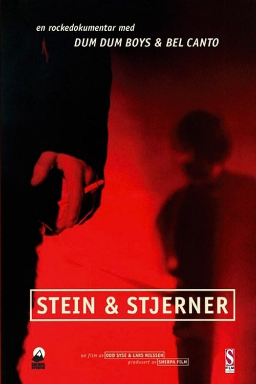 Stein & stjerner Poster