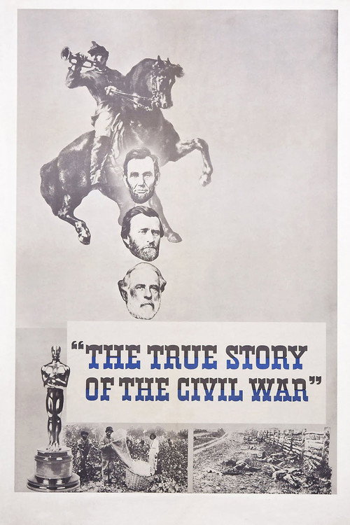 The True Story of the Civil War Poster