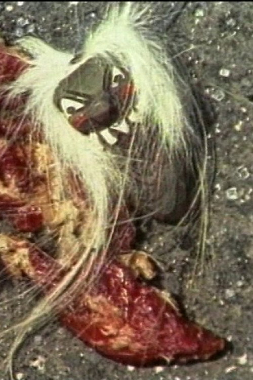 Beaten Meat Glamour Poster