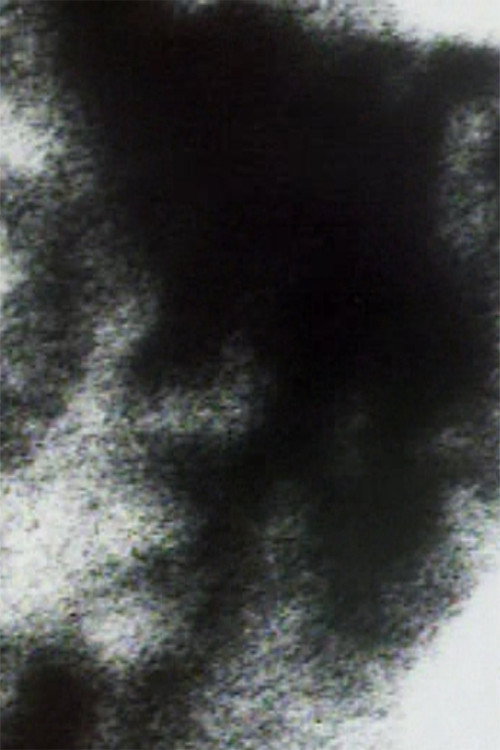 Friends Along the Way Poster