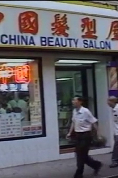 Hair Cuts Poster